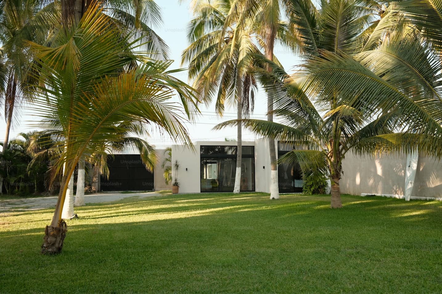 After professional lawn care